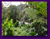 lavena coastal walk and waterfall (38).jpg
